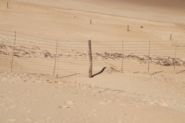 istock A border fence built on beach sand. Immigration control concept image. 1268273084