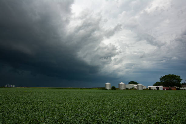 derecho in arrivo si avvicina attraverso i campi di mais.  agosto 2020. - tornado storm disaster storm cloud foto e immagini stock