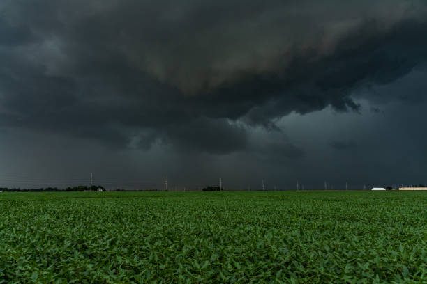 derecho in arrivo si avvicina attraverso i campi di mais.  agosto 2020. - tornado storm disaster storm cloud foto e immagini stock