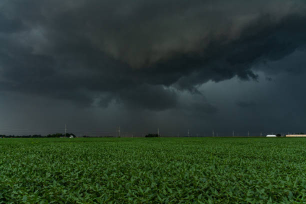 derecho chegando se aproximando através dos campos de milho.  agosto de 2020. - tornado storm disaster storm cloud - fotografias e filmes do acervo
