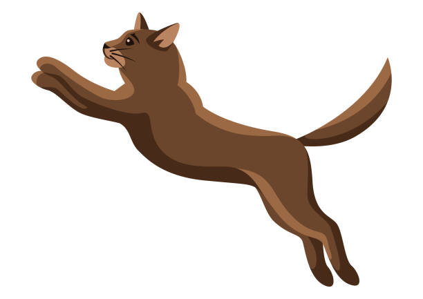 Stylized illustration of jumping cat. Stylized illustration of jumping cat. Image of cute kitten pet. cat muzzle meowing cartoon stock illustrations