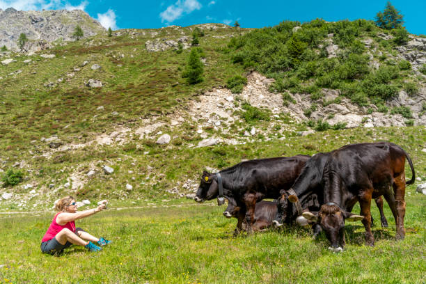istock female tourist is photographing 1268283321