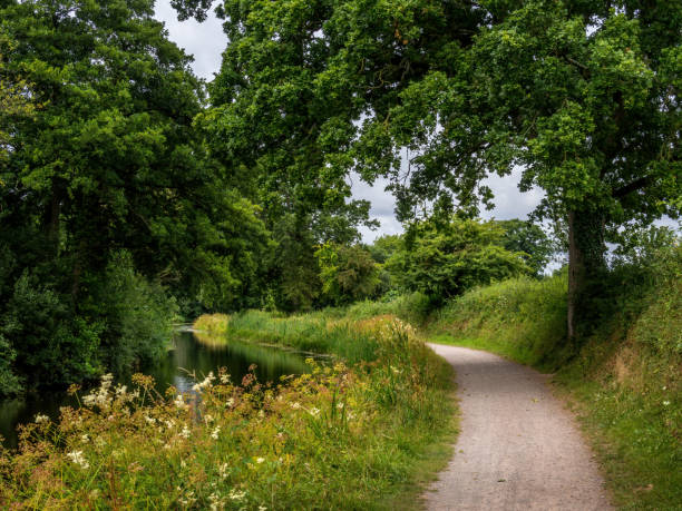 der schleppweg entlang des wunderschönen grand western canal, tiverton, devon, uk. - area of outstanding natural beauty stock-fotos und bilder