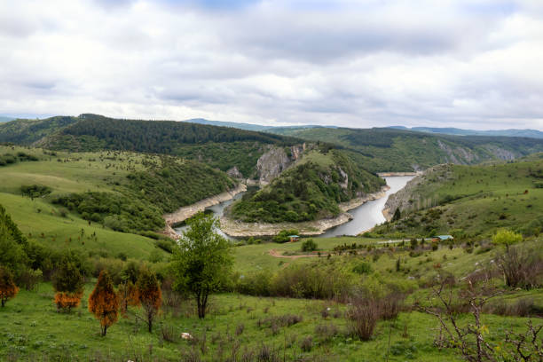 istock Panoramic view of water and the trees 1268284643