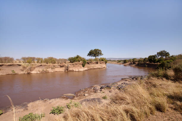 istock Game drive on Safari 4x4 at Masai Mara 1268285166