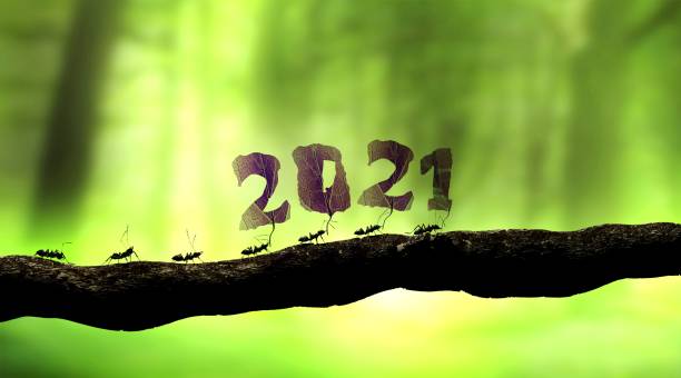 istock ants carrying 2021 number for the new year 3D rendering 1268286234