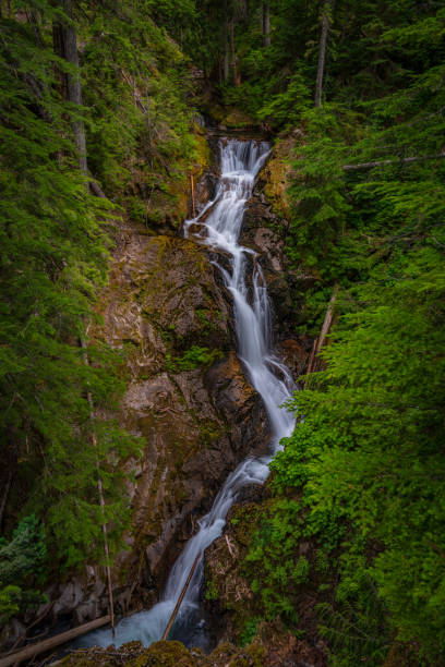 istock Eastside Trail Waterfall At Mount Rainier National Park 1268287441