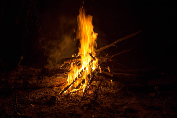 istock The fire of the bonfire dances 1268288000