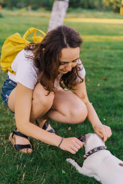 istock Woman playing  with dog while sitting on grass 1268288131