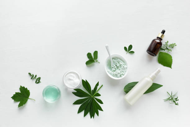 istock Natural cosmetics and green leaves 1268288791