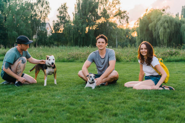 istock Three friends sitting on lawn and playing with dogs 1268290654