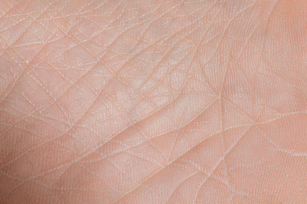texture della pelle ravvicinata con rughe sul corpo umano - human skin female wrinkled women foto e immagini stock