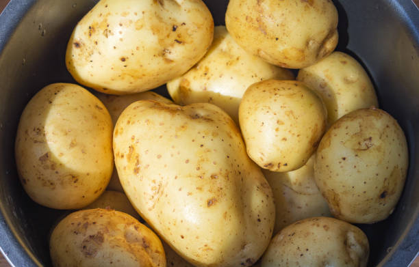 istock Raw uncooked new potatoes at home. 1268293479