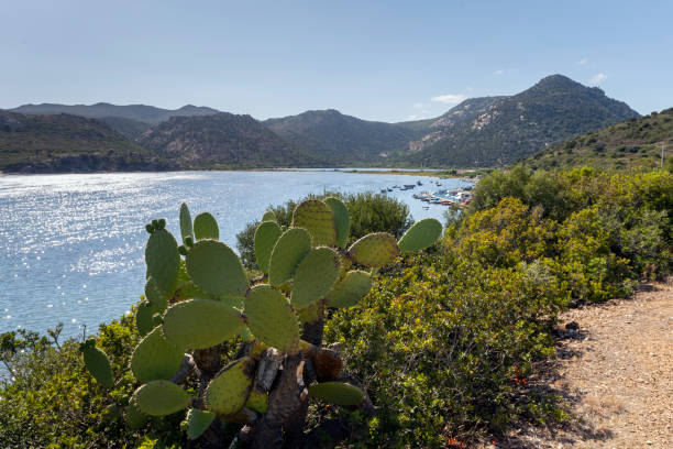 istock Coast of South Sardinia on a summer day 1268295048