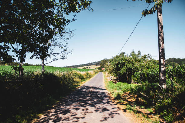 istock road surrounded by vegetation against mountains and blue sky 1268296381