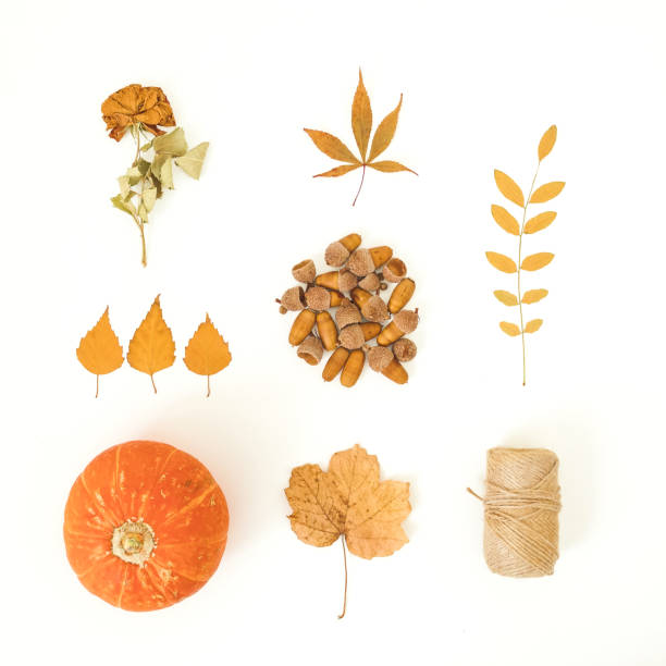 istock Autumnal composition. Fall leaves, pumpkins and acorns with twine on white background. Thanksgiving day concept. Flat lay, top view. 1268296603