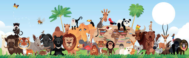 ilustraciones, imágenes clip art, dibujos animados e iconos de stock de animales - monkey baboon elephant ape