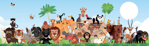Animals Vector Animals mandrill stock illustrations