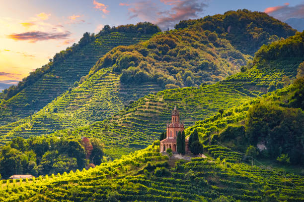 farra di soligo - col san martino - iglesia de san martín - colinas prosecco al atardecer - veneto fotografías e imágenes de stock