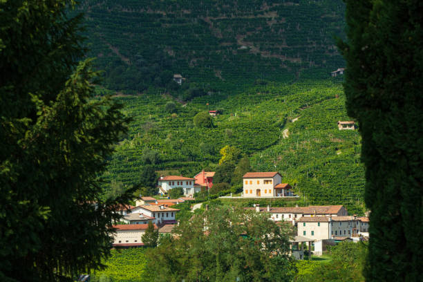 istock Farra di Soligo, Prosecco hills 1268300101