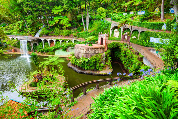 Monte Palace Tropical Garden in Madeira Monte Palace Tropical Garden in Madeira island in Portugal portuguese culture photos stock pictures, royalty-free photos & images