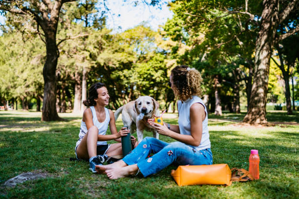 istock Two women and dog relaxing in park 1268304456