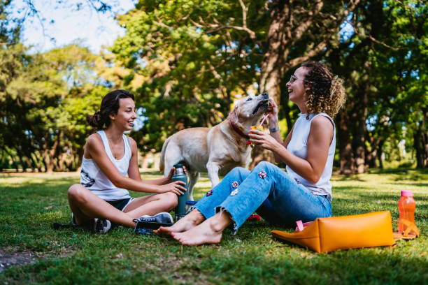 istock Two women and dog relaxing in park 1268304499
