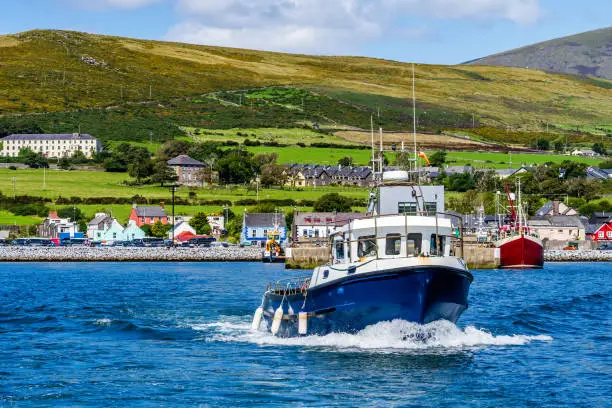 Boat tour leaving Dingle harbour for sightseeing and Fungie Dolphin watching with Dingle village in background. Co Kerry, Ireland