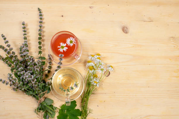 istock Autumn flower arrangement with useful wild herbs and herbal tea, text space, flat lay, 1268315963