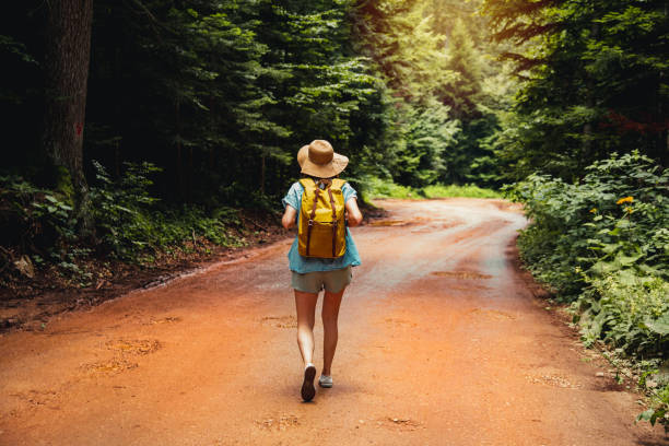 istock Woman with backpack hiking in the forest 1268316026