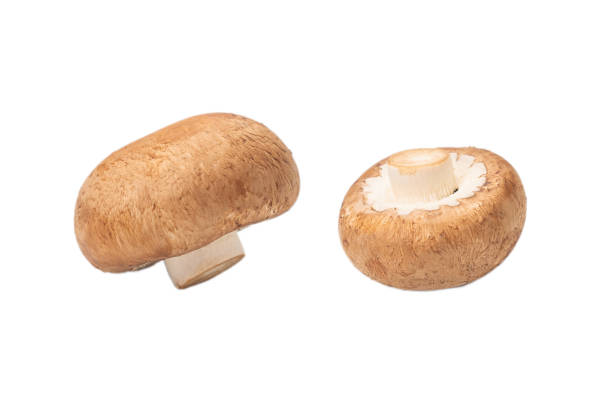 istock Tasty mushroom isolated on white background. 1268317232