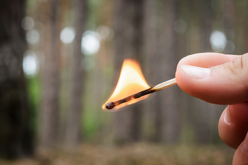 It is dangerous to burn fire in forest, since it may be the cause of the forest fire.