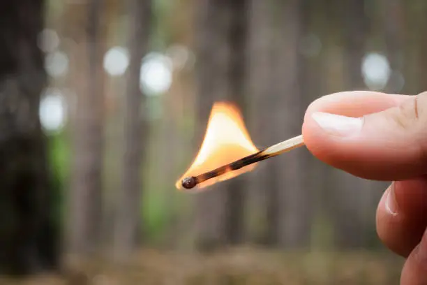 Photo of A men holds a burning match in a hand in a coniferous forest