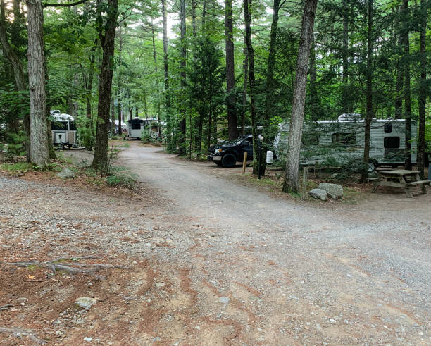 Recreational vehicles sit between trees in a shaded campground. stock photo