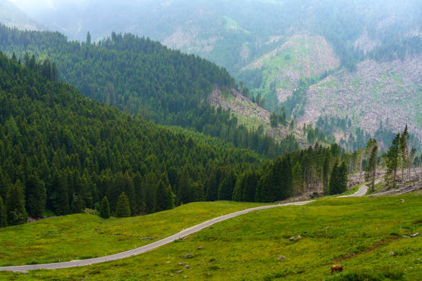 road