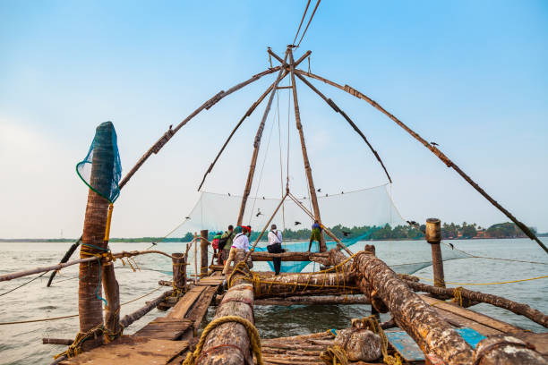 redes de pesca chinesas em cochin - fishing net commercial fishing net netting isolated - fotografias e filmes do acervo