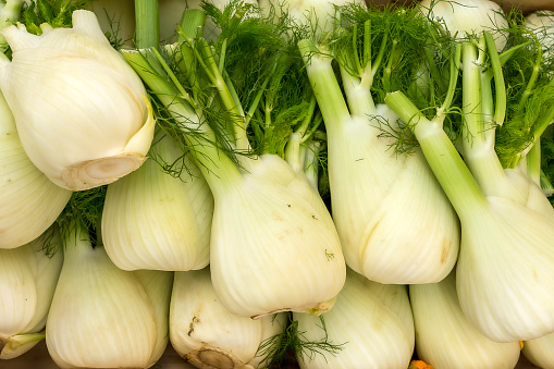 Several Fennels heads  on a fruit and vegetable market stall in Rome