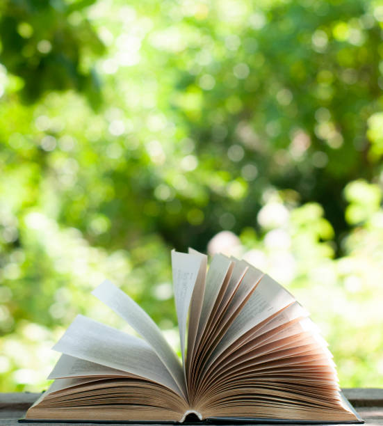 istock Open book on the wood table in the nature 1268322058