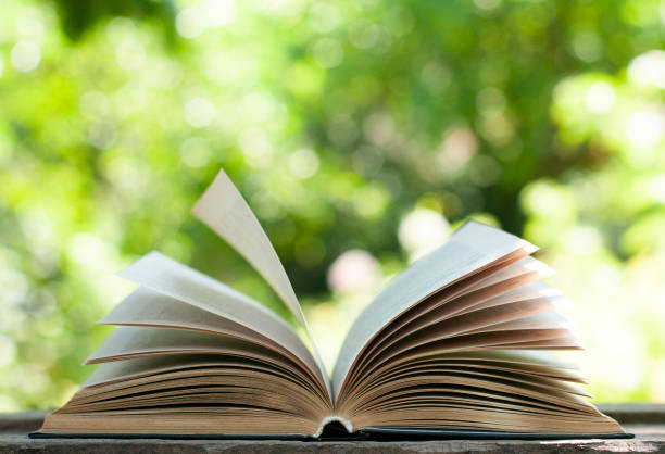 istock Open book on the wood table in the nature blurred background with bokeh lights 1268322059