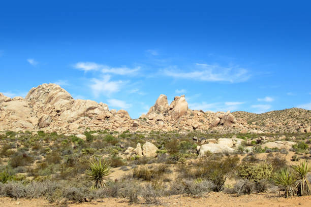 istock Wide angel view of a boulder mountain range in Southern Nevada 1268322082
