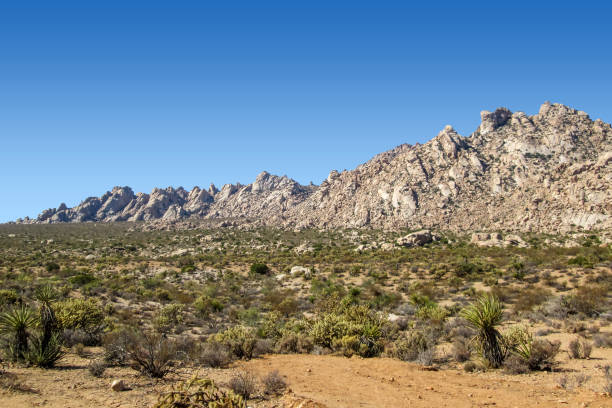 View of a boulder mountain range in Southern Nevada with blue sky