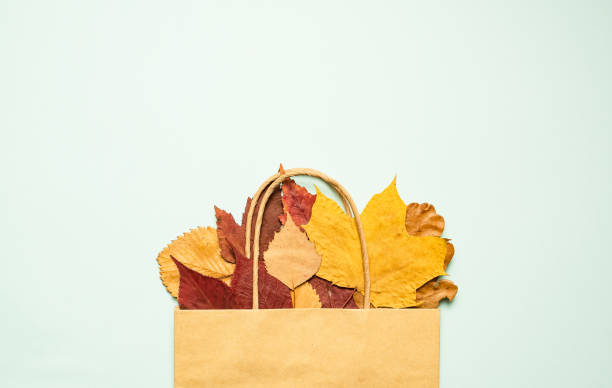 istock Autumn sale. Dry multicolored leaves on a light background. Blank paper for text. 1268329672