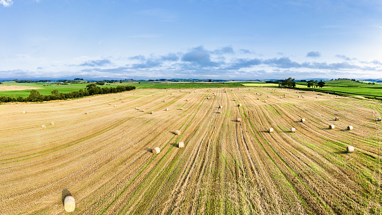 The view from a drone of a field that has just been harvested. The straw is now baled. The image was captured on a bright sunlight morning. The location is rural Dumfries and Galloway, south west Scotland.