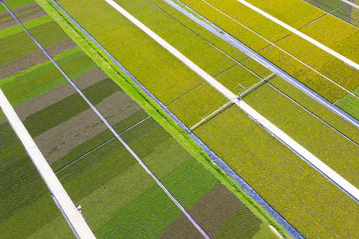 World at work, agriculture, aerial view of farmland, aerial top view.