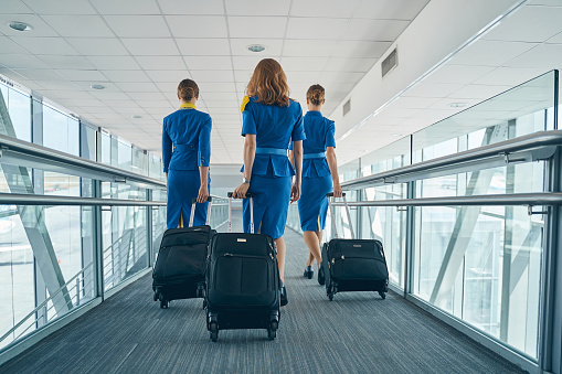 Airline female employees walking with their luggage