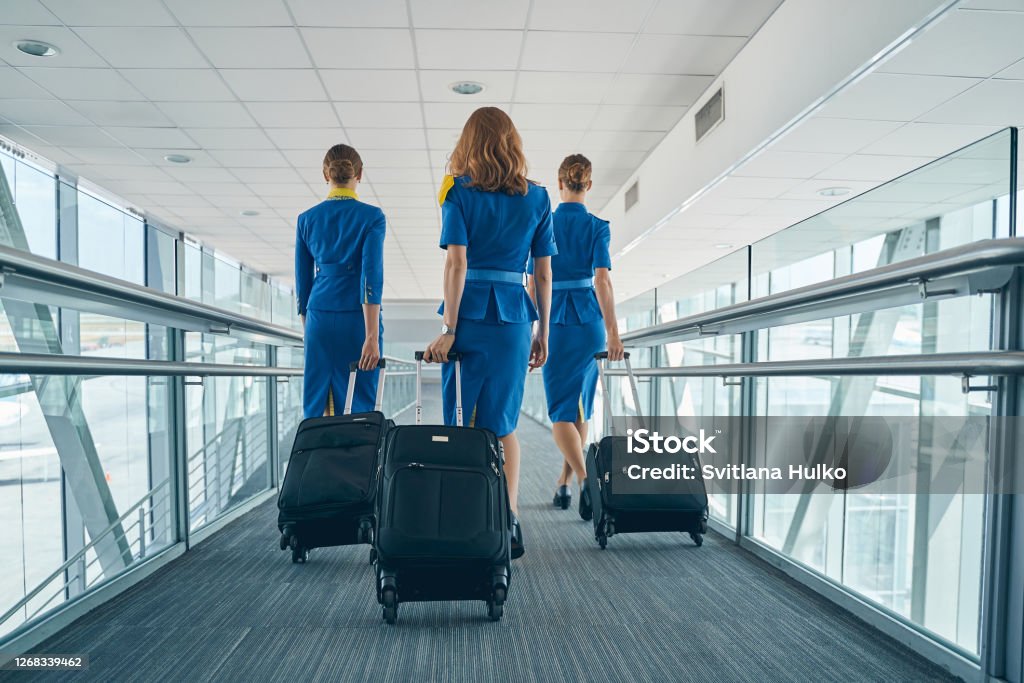 Airline female employees walking with their luggage Back view of three young slim stewardesses pulling their trolley bags along the airport terminal Cabin Crew Stock Photo
