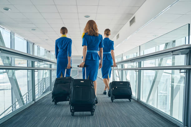 Airline female employees walking with their luggage Back view of three young slim stewardesses pulling their trolley bags along the airport terminal crew photos stock pictures, royalty-free photos & images