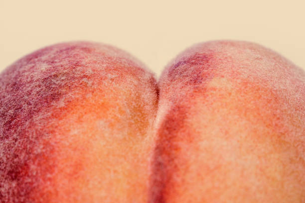 Fresh Peach on Peach Colored Background A detailed image of a freshly picked ripe peach.  Photographed on a peach colored background. buttocks stock pictures, royalty-free photos & images