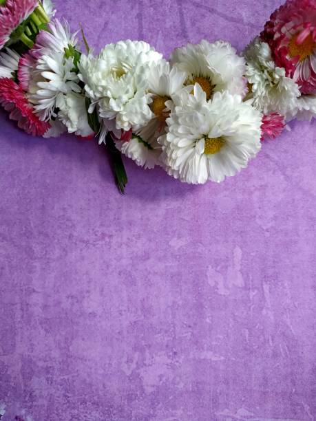 istock wreath of daisies on a lilac background 1268345836