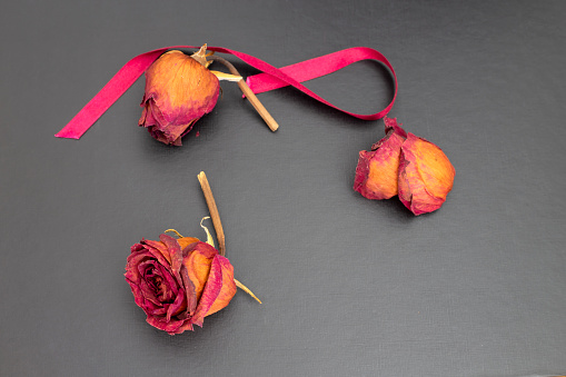Madrid Spain. August 24, 2020. Dried roses on gray background